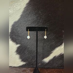Elegant Gold Drop Shell Earrings